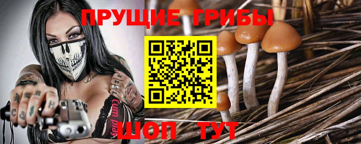 даркнет сайт  Галлюциногенные грибы мухоморы  Вход с VPN  Заречный 
